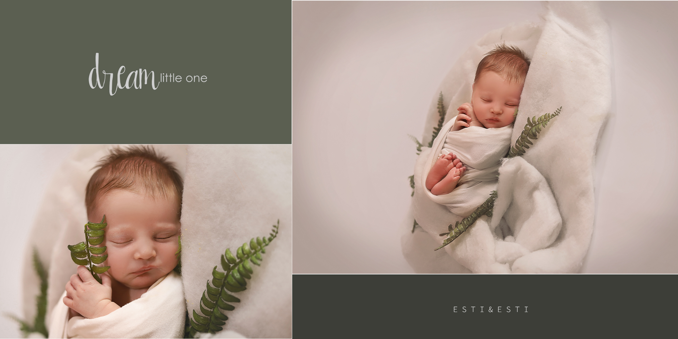 עמוד פרח מ.jpg