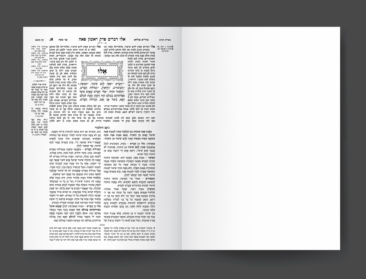 עמוד ראשון.jpg