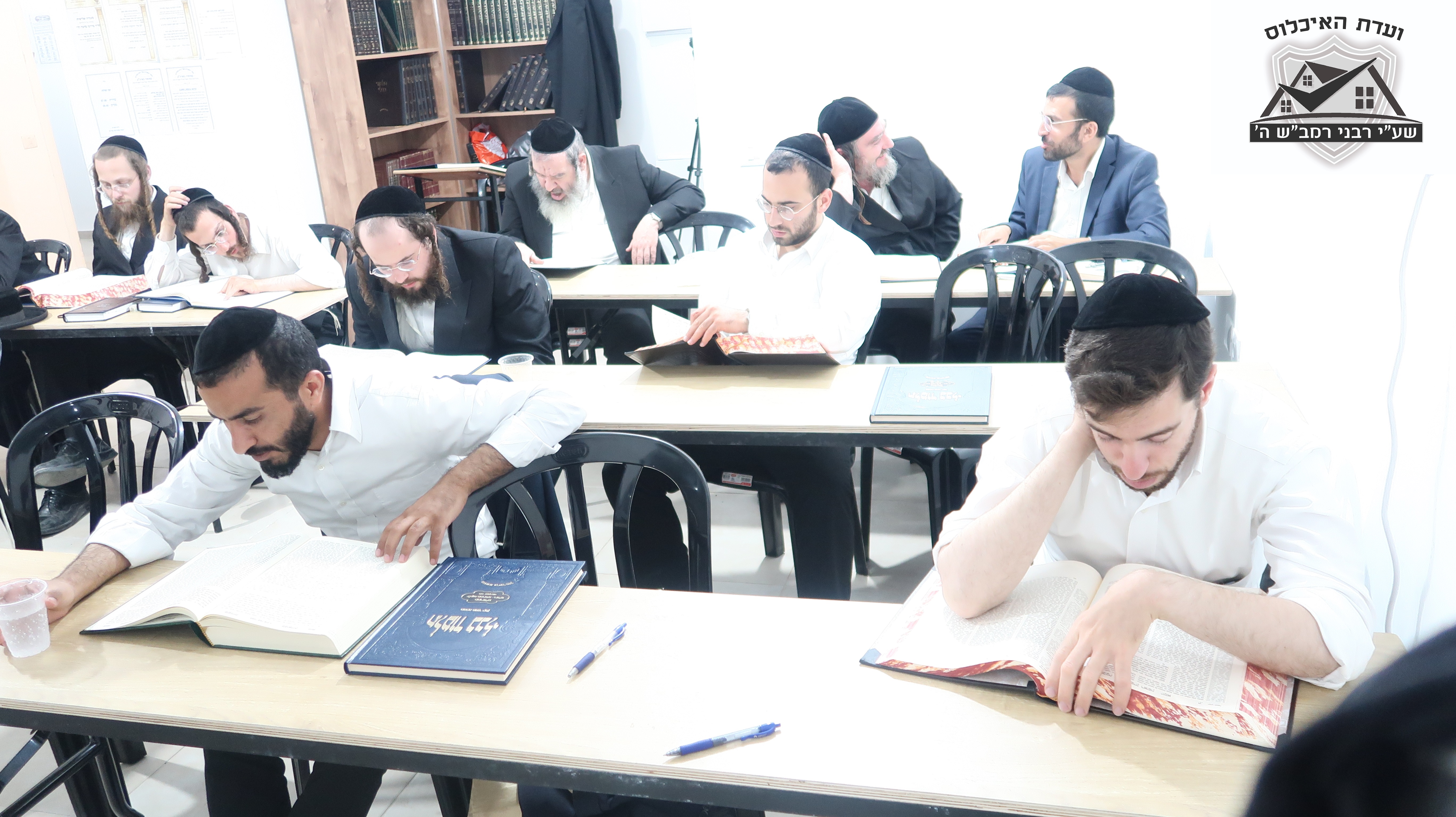 עמילות בתורה 3.JPG