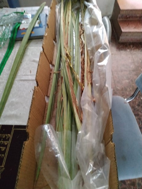 עמק (1) (Small).jpeg