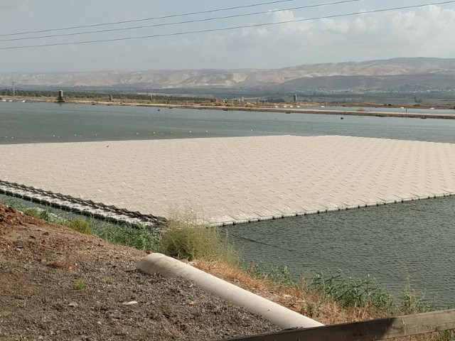 עמק (12) (Small).jpeg