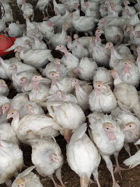 עמק (14) (Small).jpeg