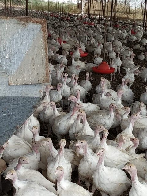 עמק (15) (Small).jpeg