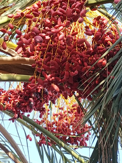 עמק (17) (Small).jpeg