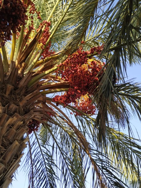 עמק (2) (Small).jpeg