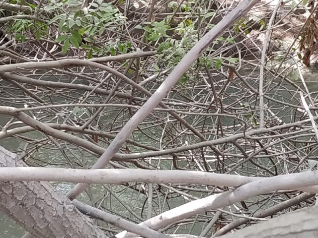 עמק (7) (Small).jpeg