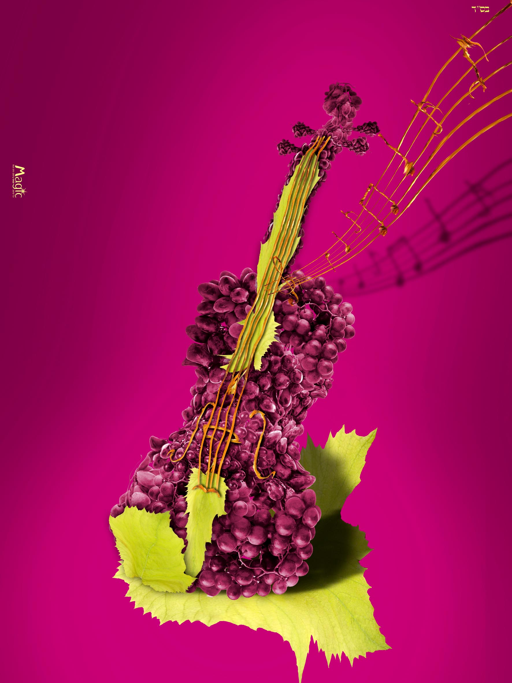 ענבים כינור.jpg