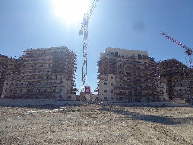 עץ השקד (2).jpg