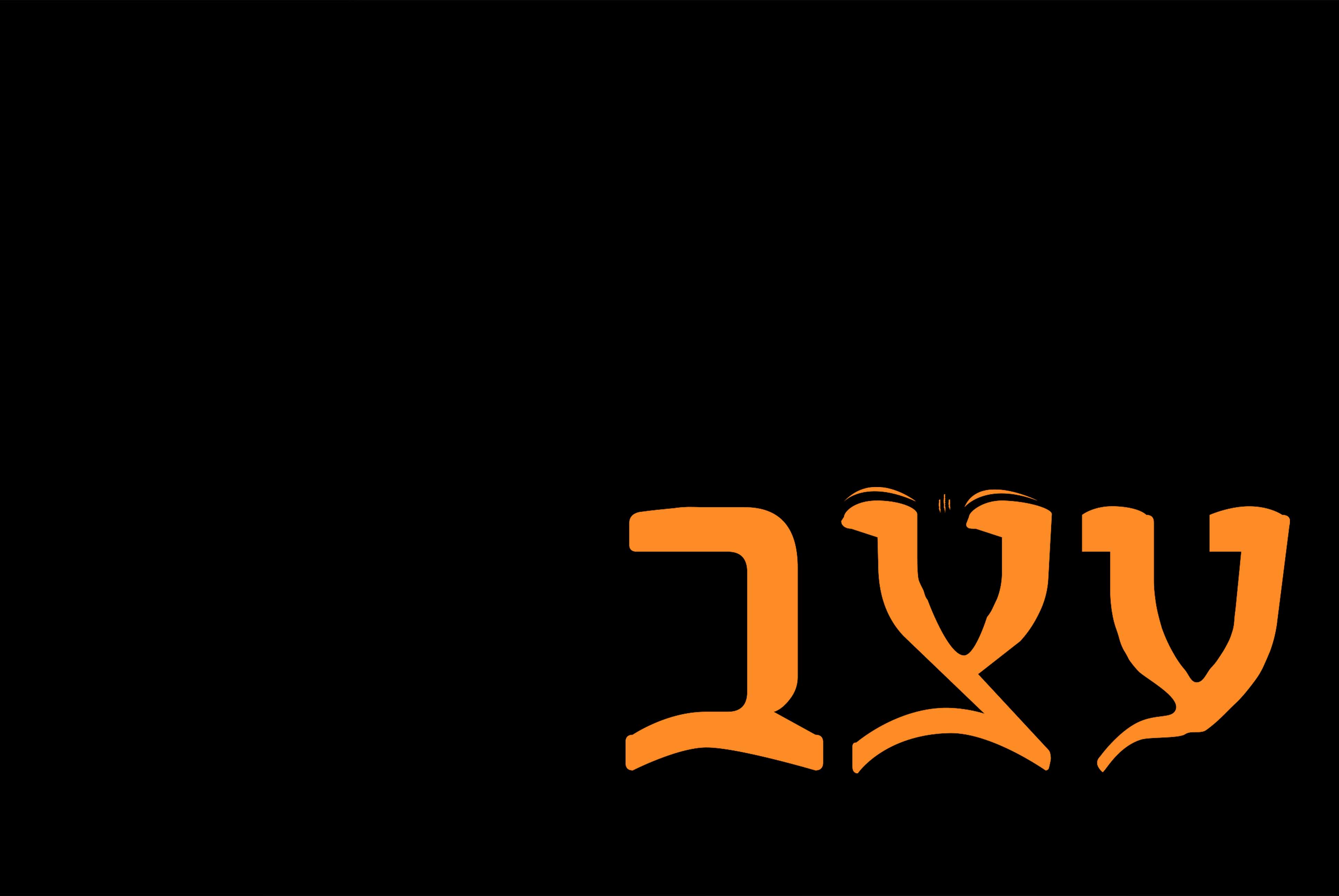 עצב 2.jpg