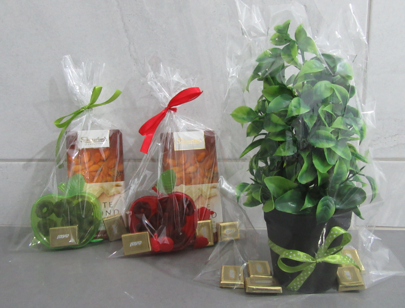 עציץ ותפוחים.PNG