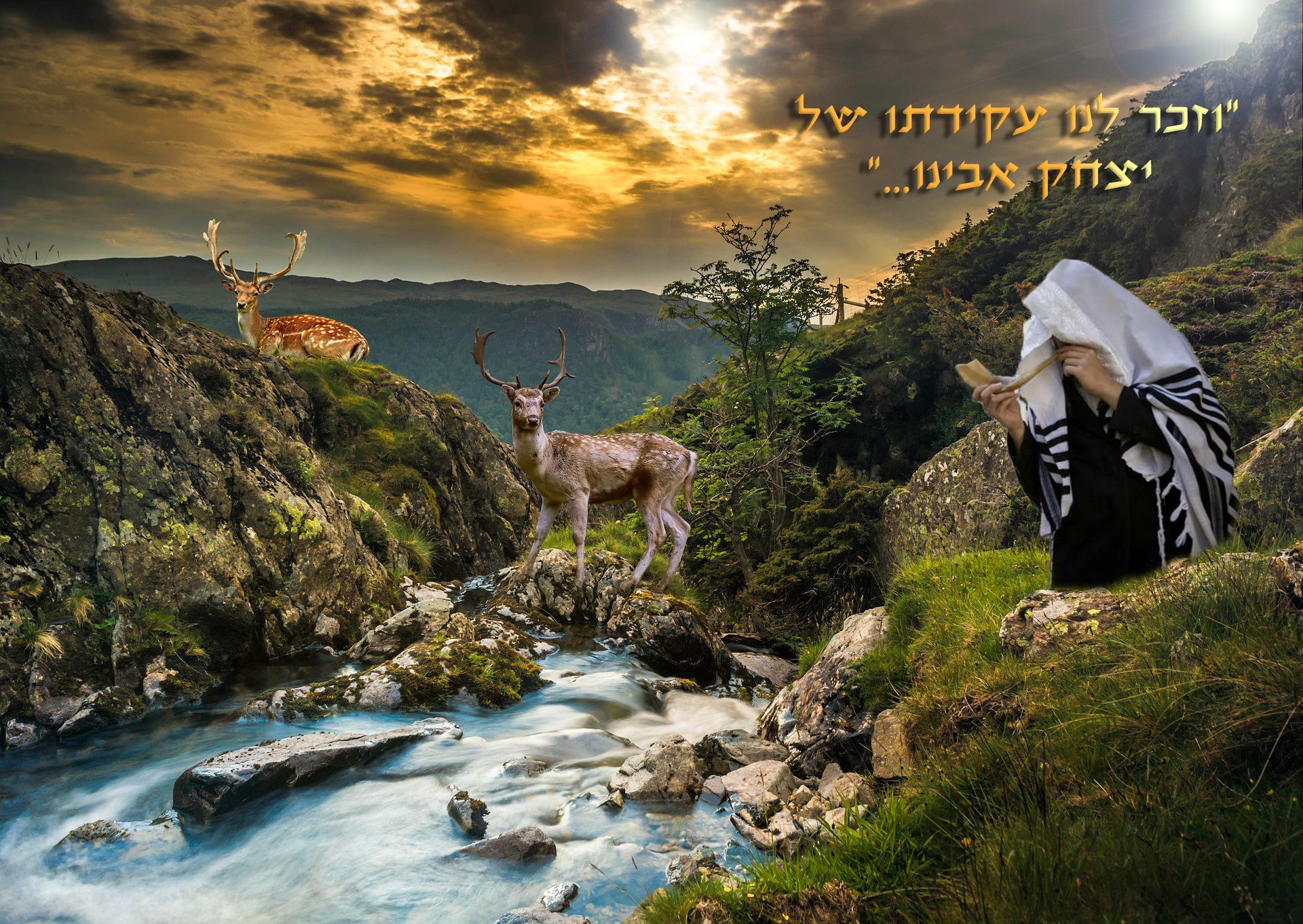 עקידת יצחק סוכות.jpg