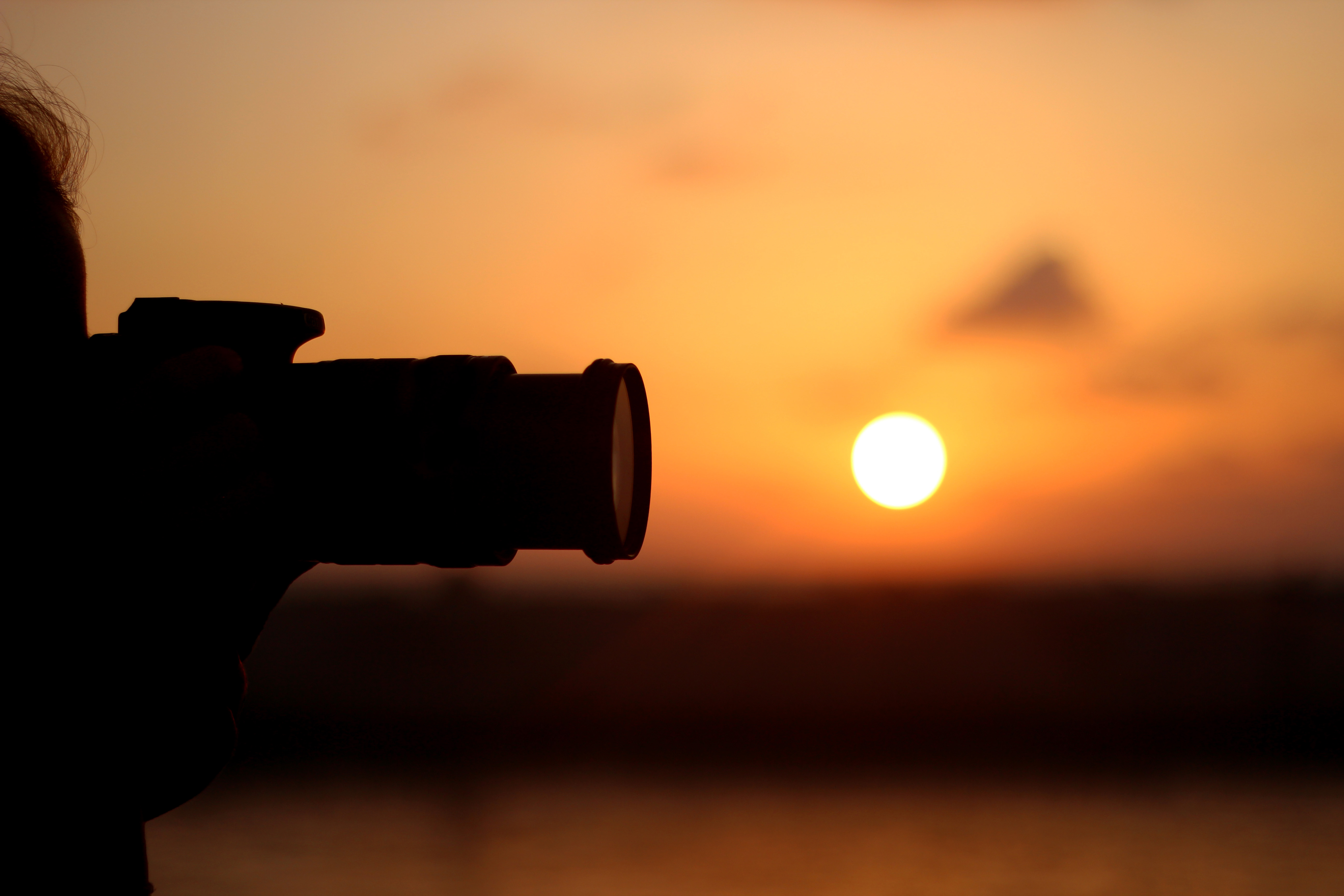 ערוך לפרוג.jpg