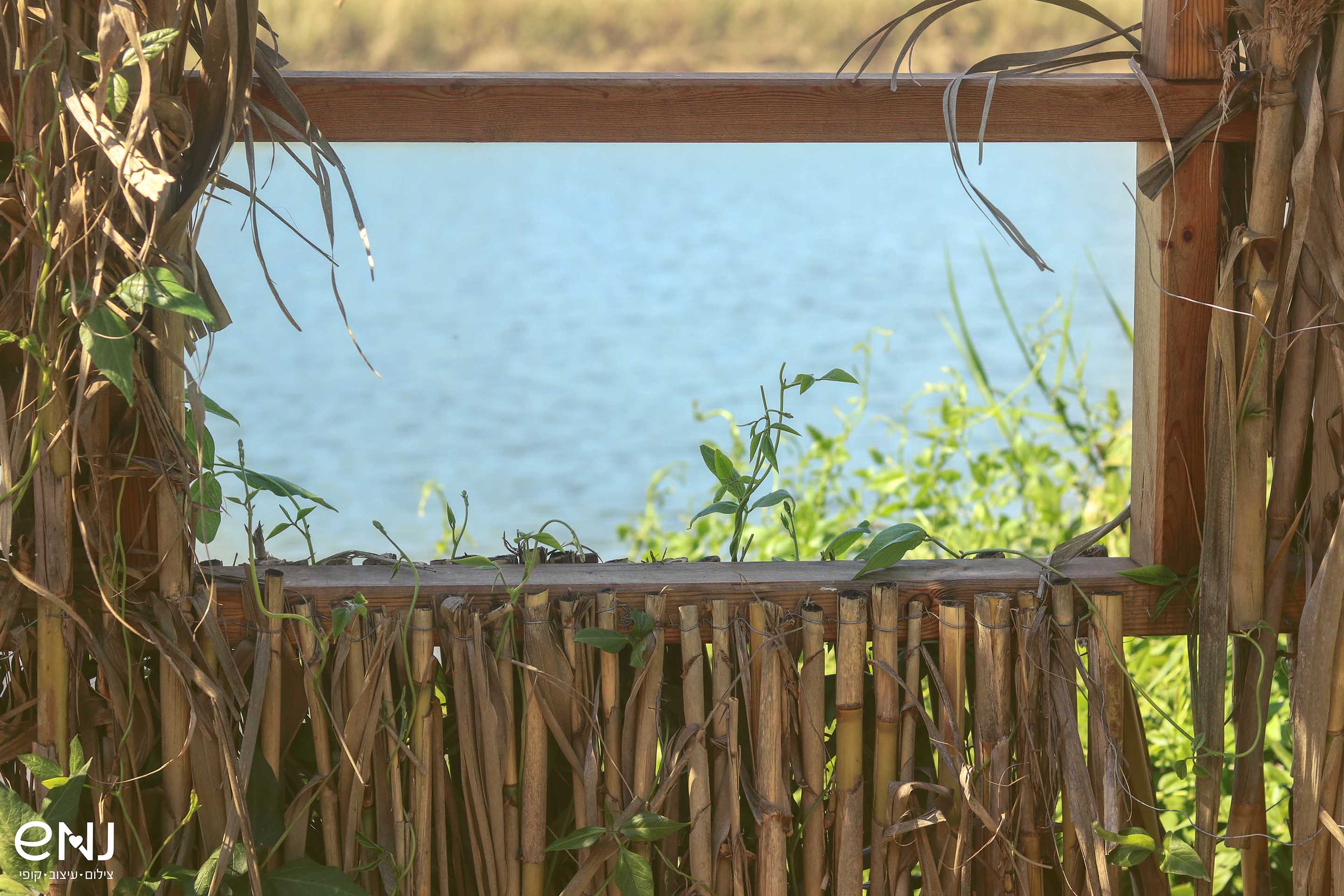 ערוך נמוך לוגווו.jpg