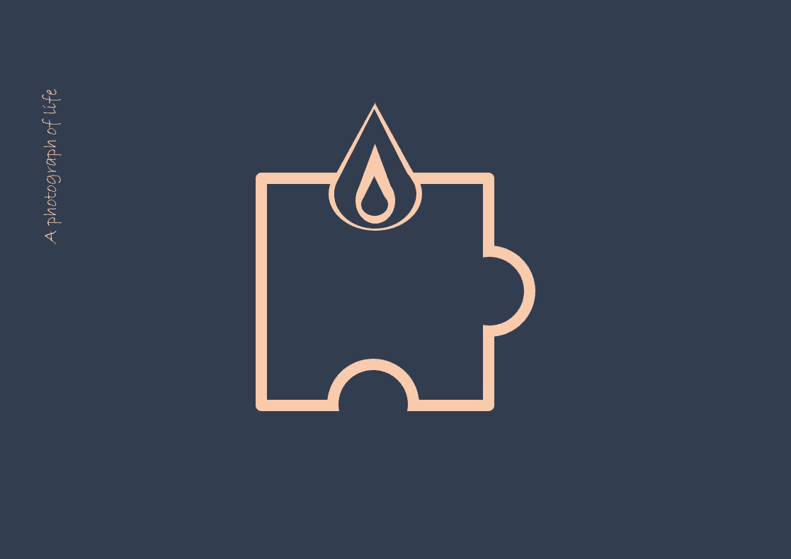 פאזל - זל - זלמן.png