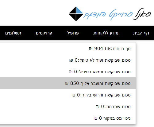 פאנל המדגם.png