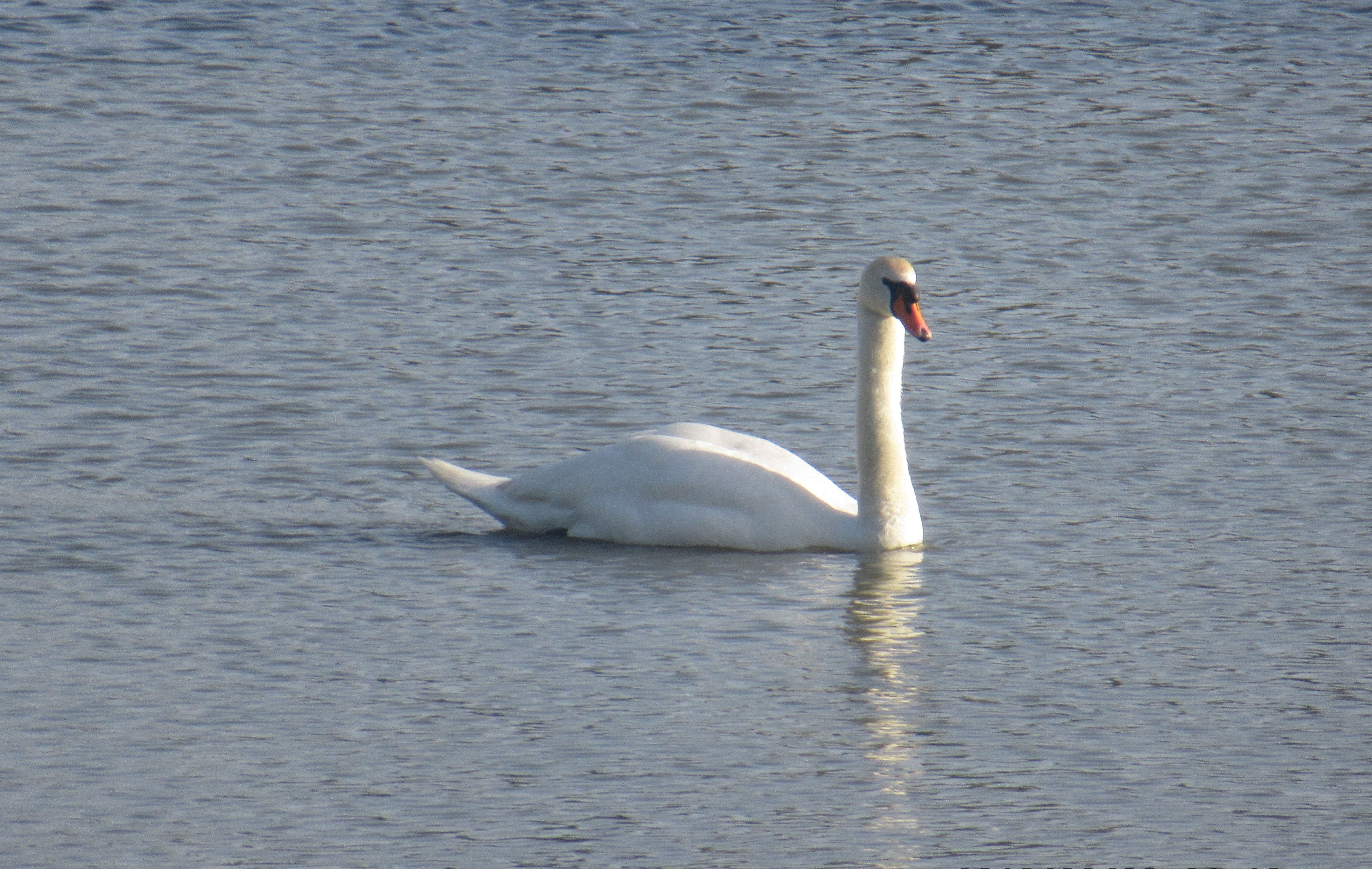 פארק לאומי 1.jpg