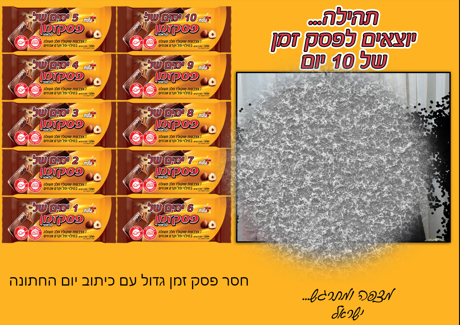 פגישה אחרונה.png