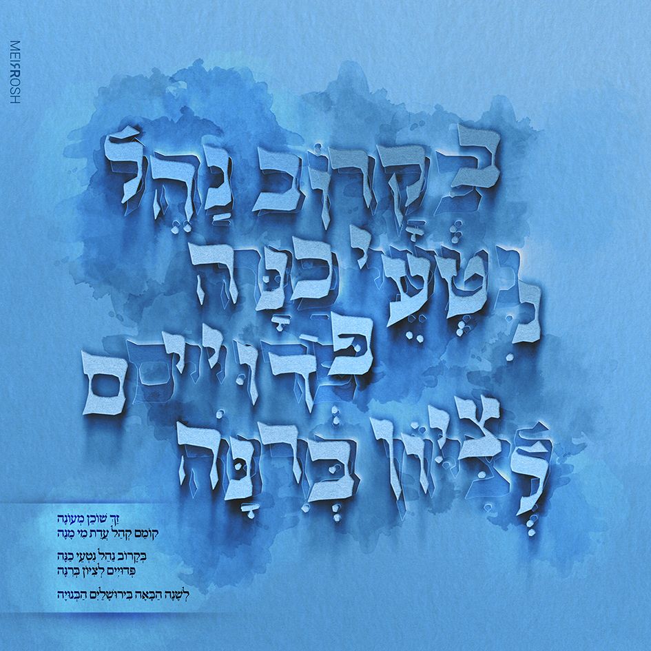 פדויים לציון ברינה3.jpg