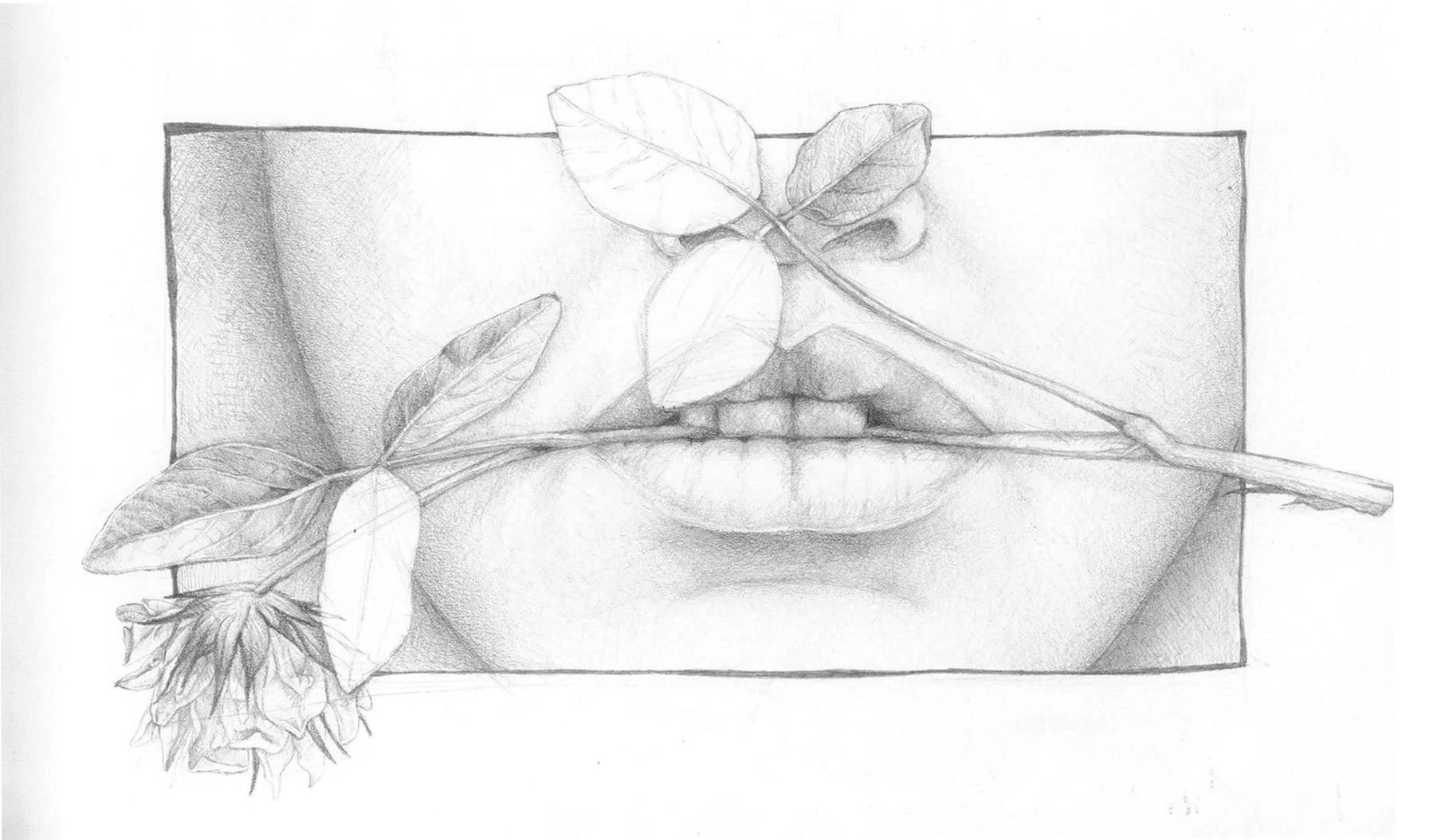 פה ותלתן2.jpg