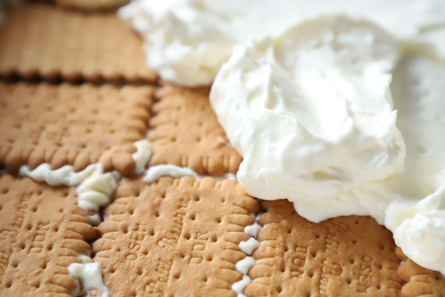 פוטושופ 2.jpg