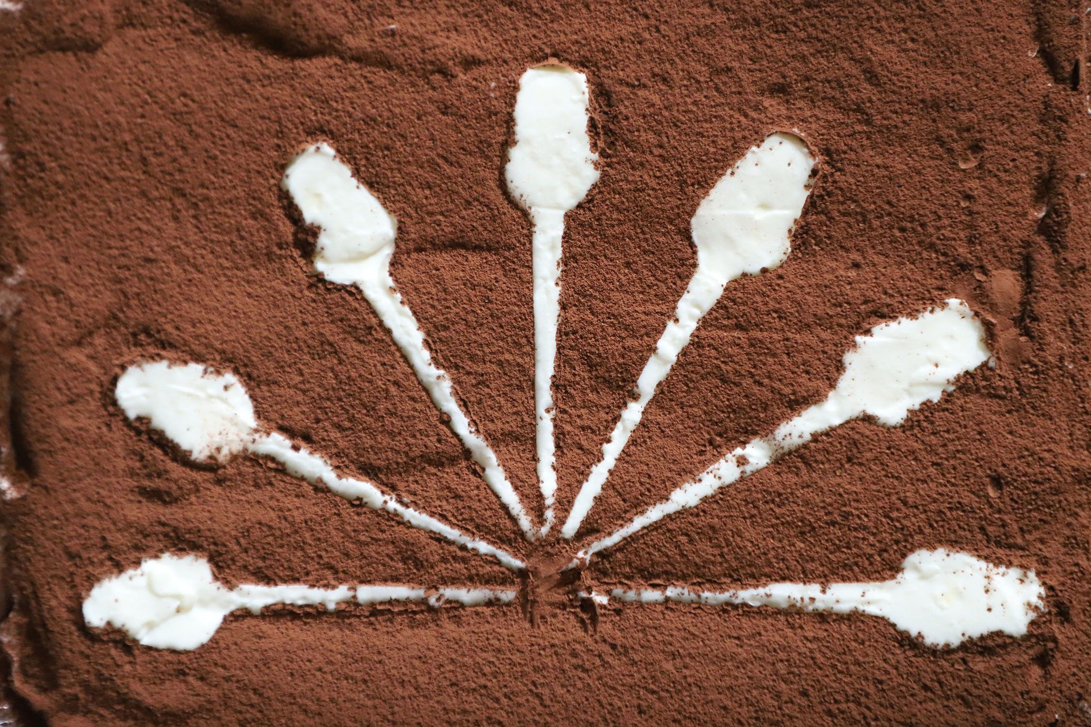 פוטושופ 6.jpg