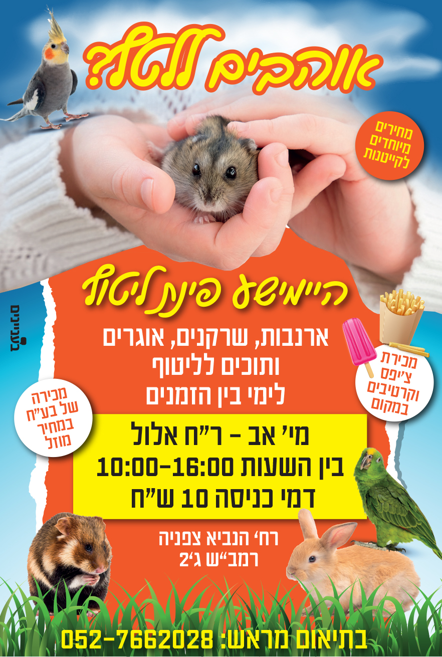 פוטו ברמה פינת חי רבע 359.jpg