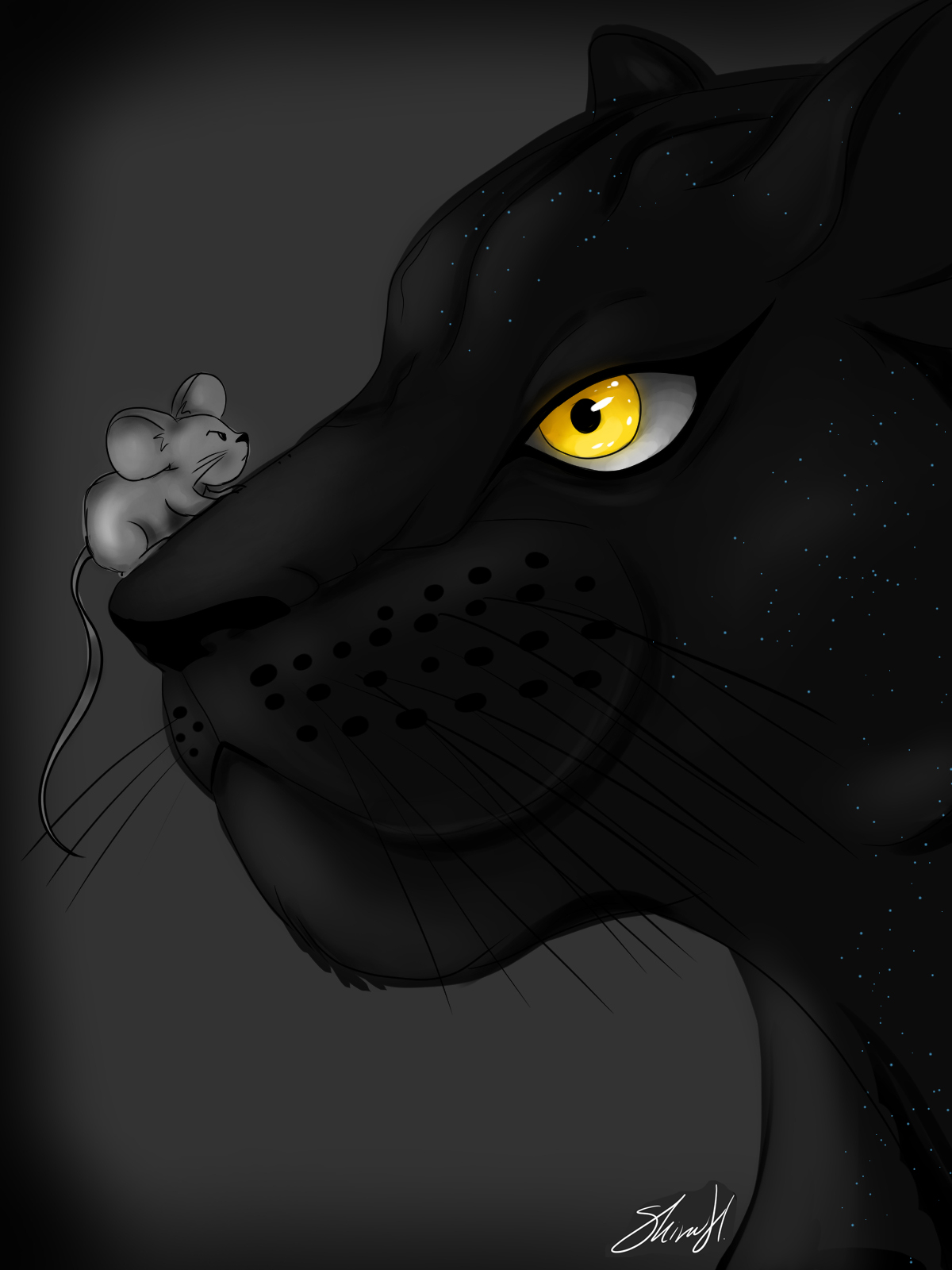 פומההש copy.jpg