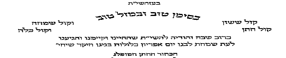 פונט.png