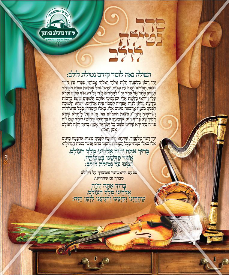 פוסטר סדר נטילת לולב.jpg