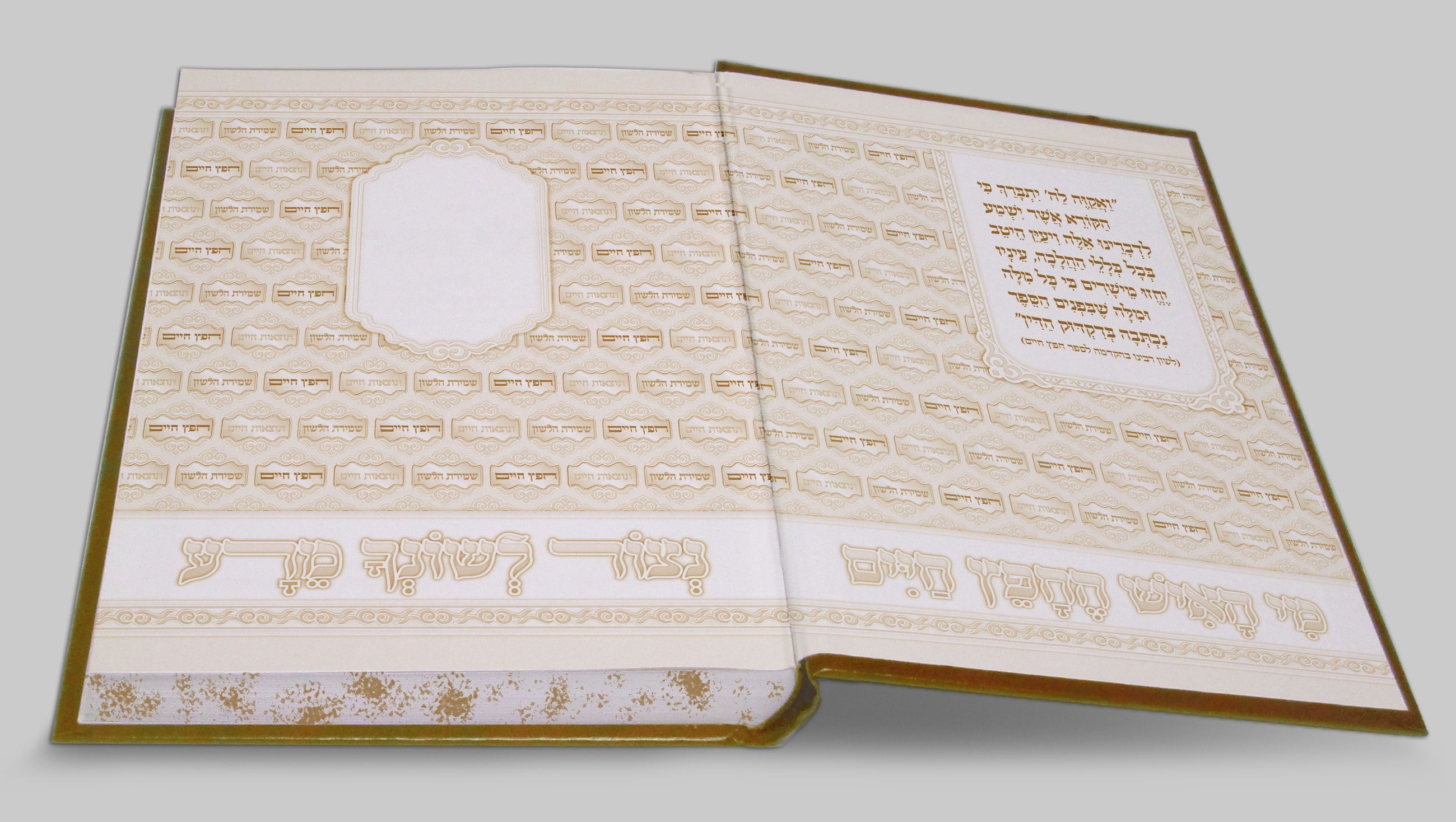 פורזץ הדמייה.jpg