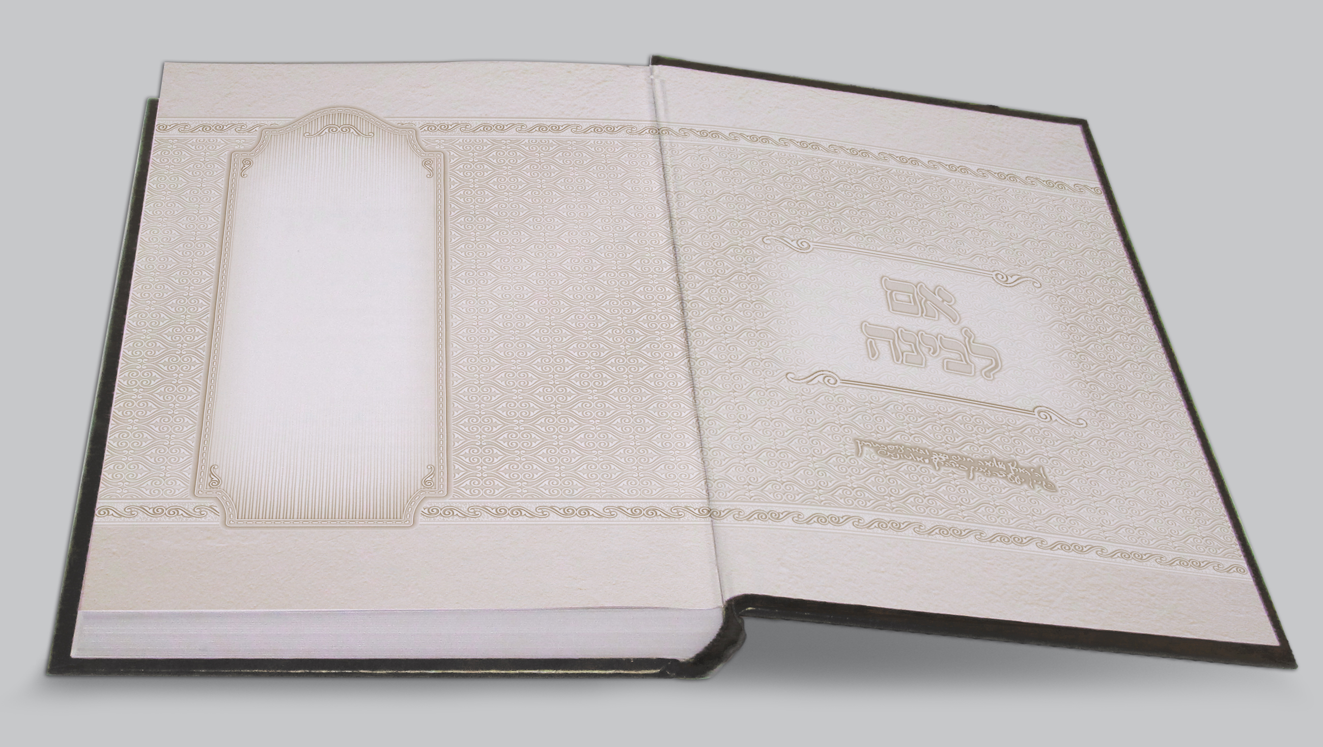 פורזץ הדמייה.jpg