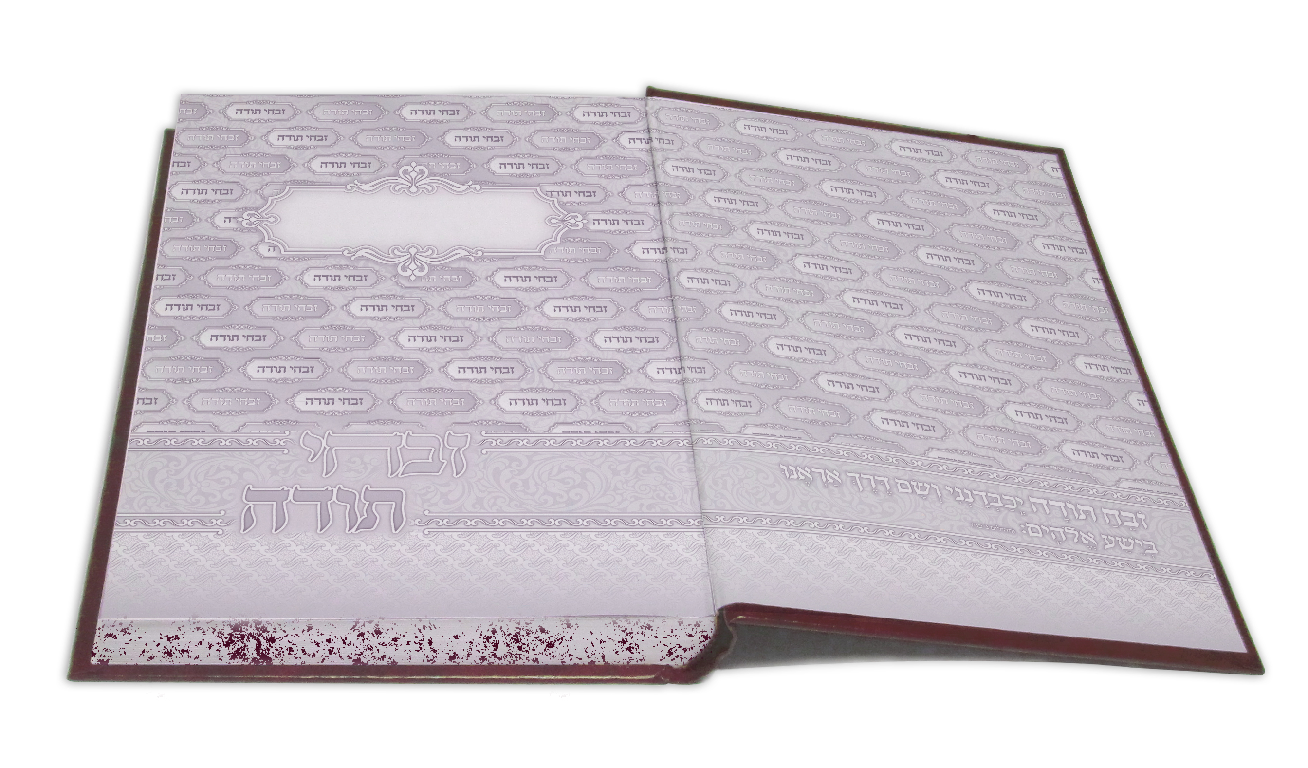 פורזץ הדמייה.jpg