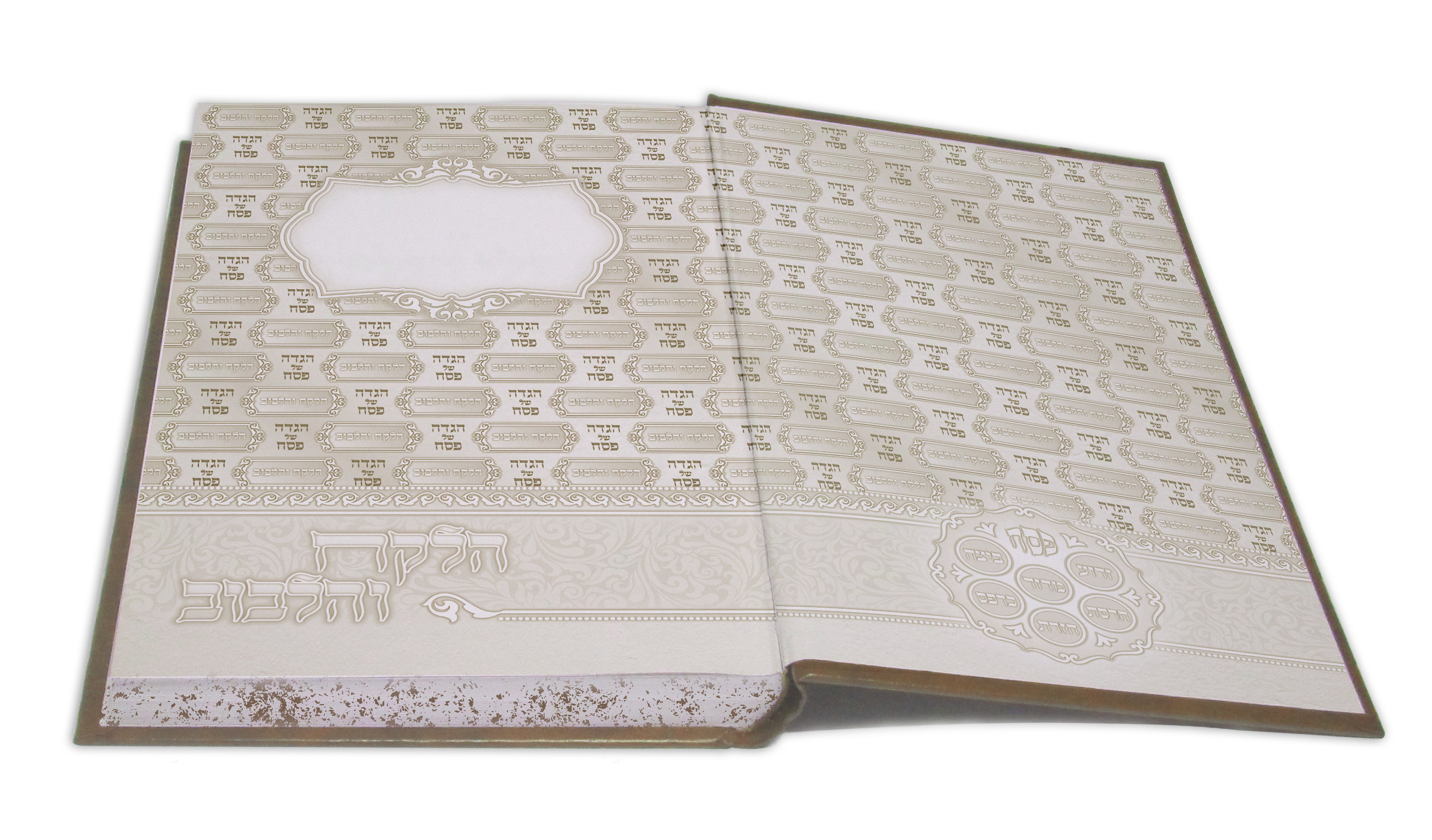 פורזץ הדמייה.jpg