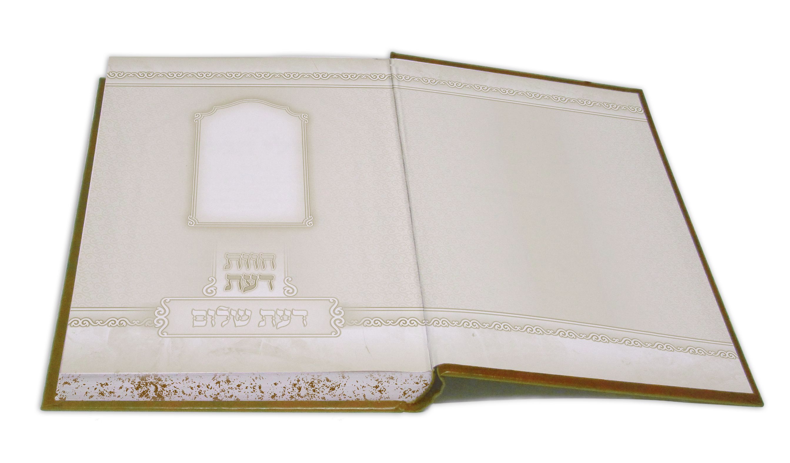 פורזץ הדמייה.jpg