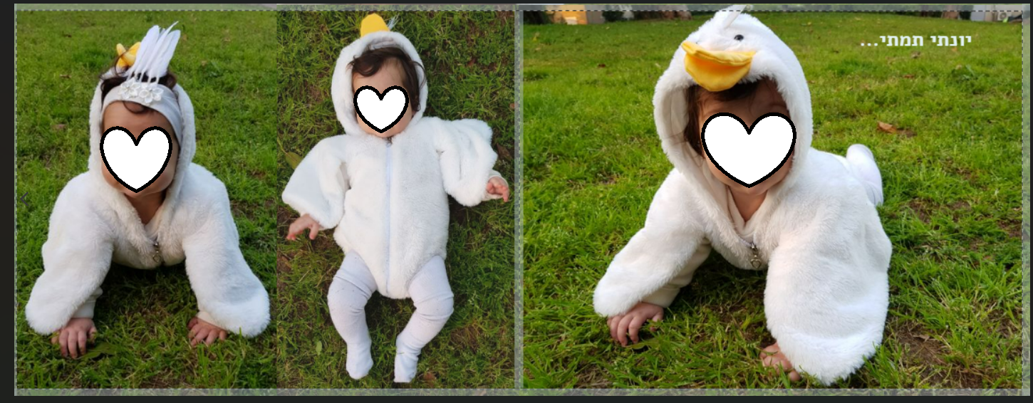 פורים יונה אפרוח.png