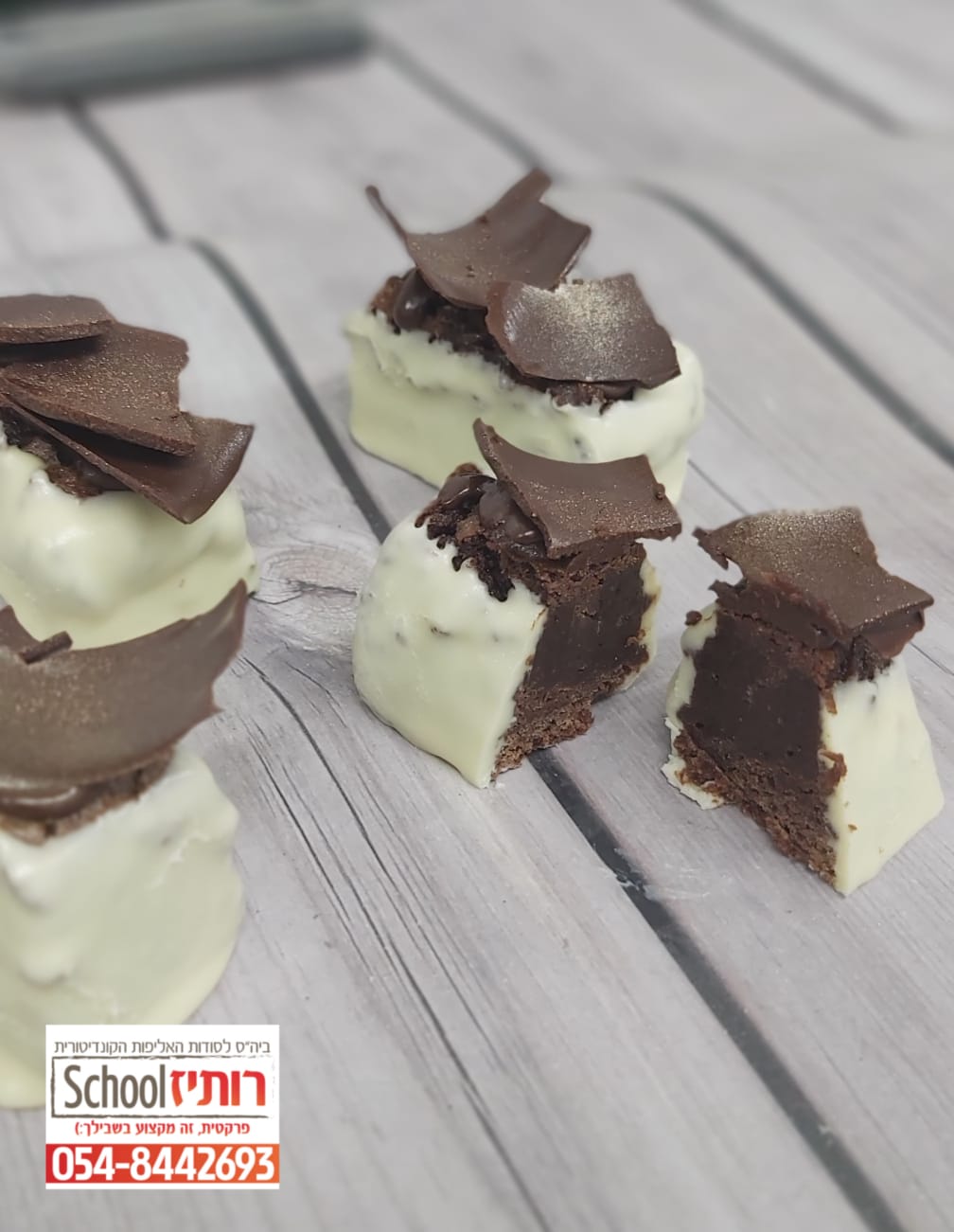 פטיפור שברים.jpeg