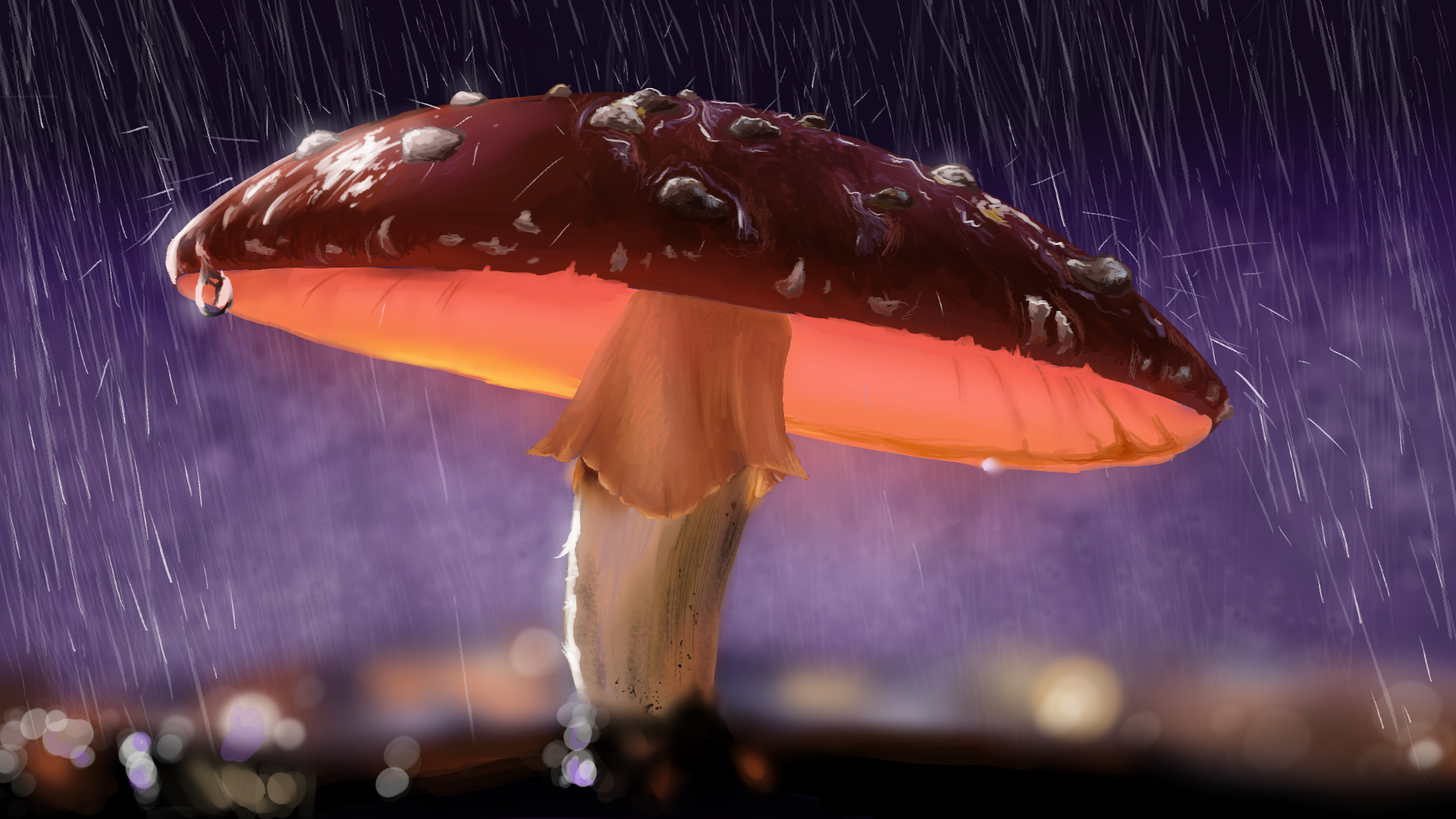 פטריה גשם 1.jpg