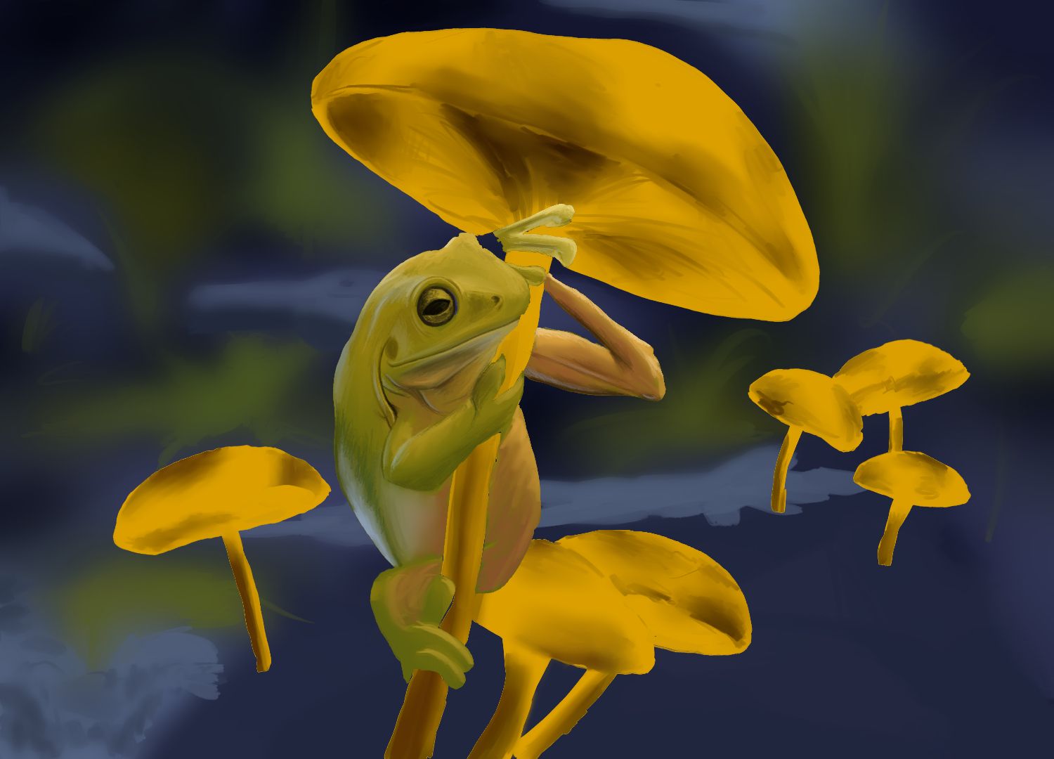 פטריה צפרדע.jpg