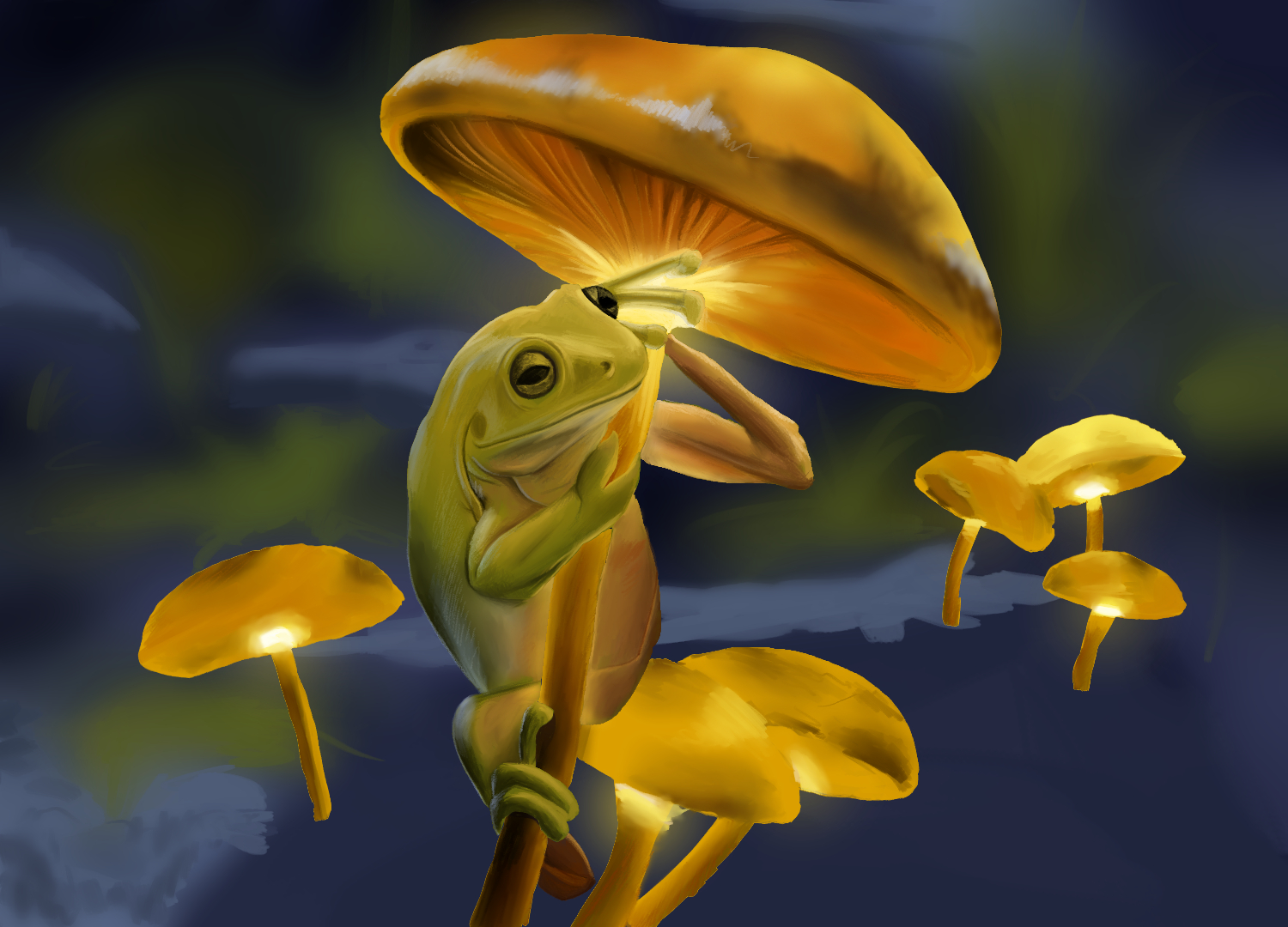 פטריה צפרדע.jpg