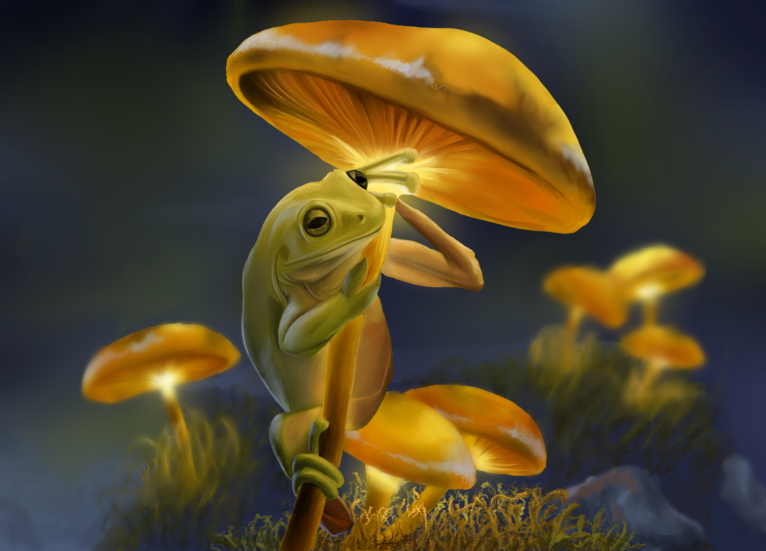 פטריה צפרדע.jpg