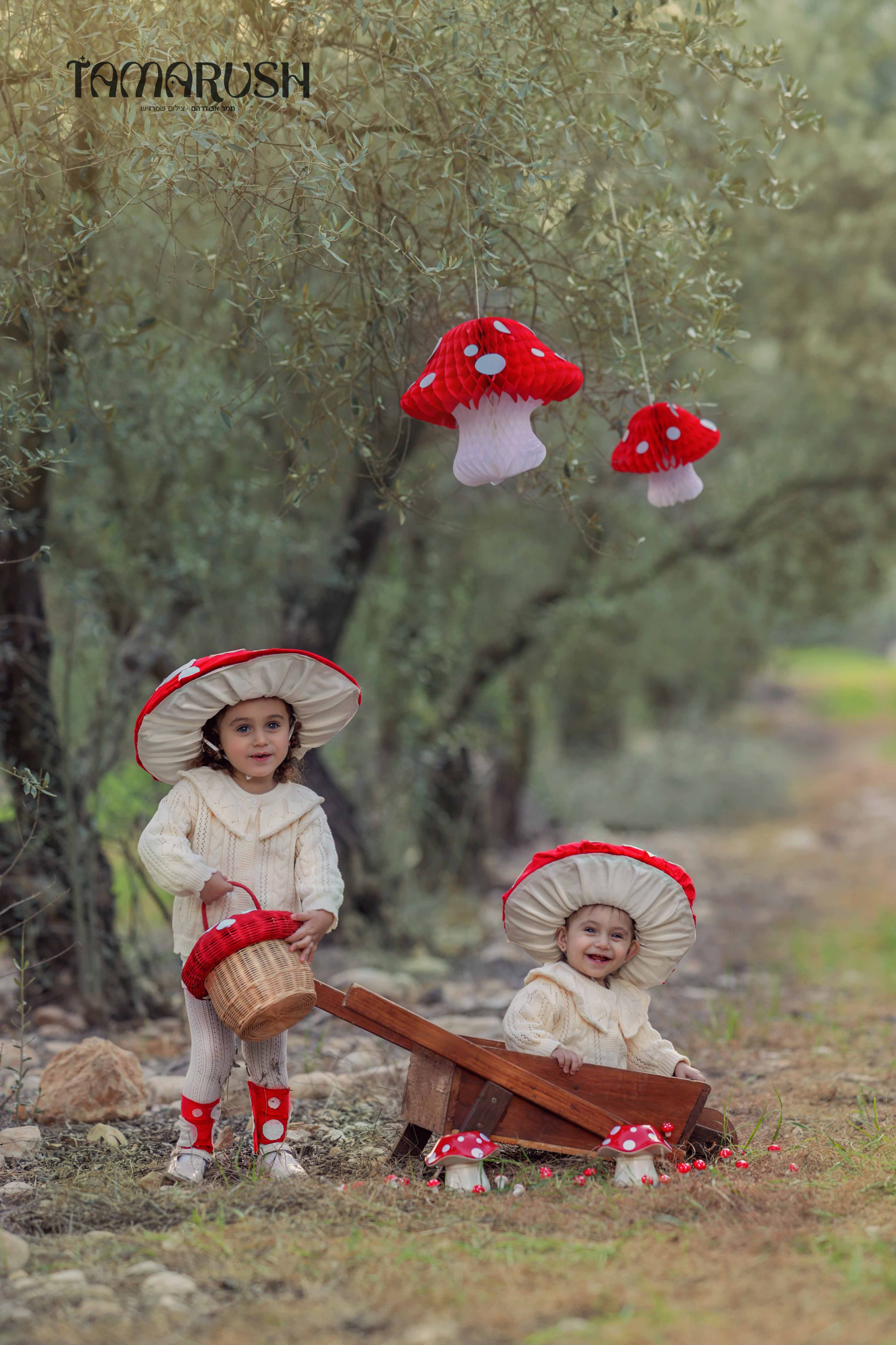 פטריות תמר א0583226044.jpg