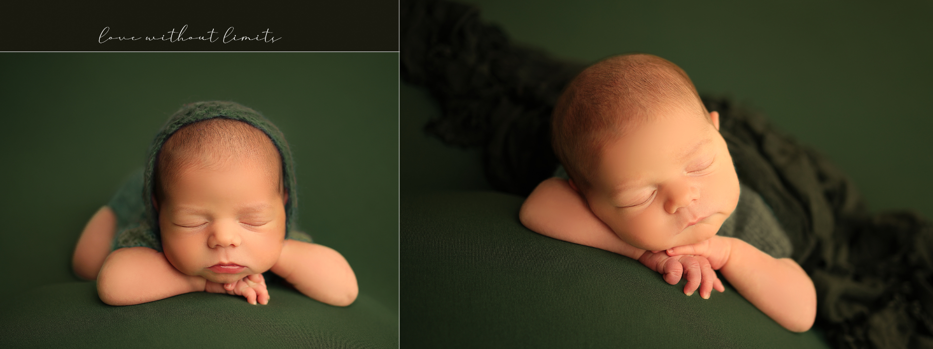 פיגי ניו10.jpg