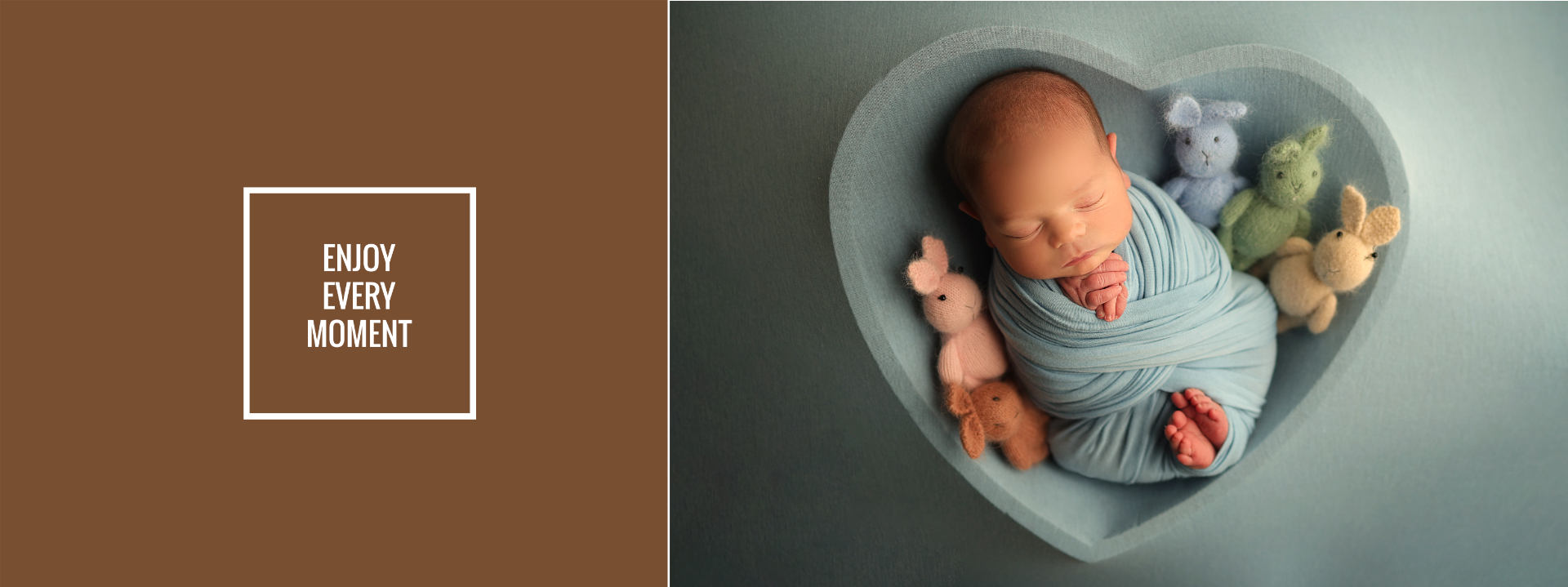 פיגי ניו3.jpg