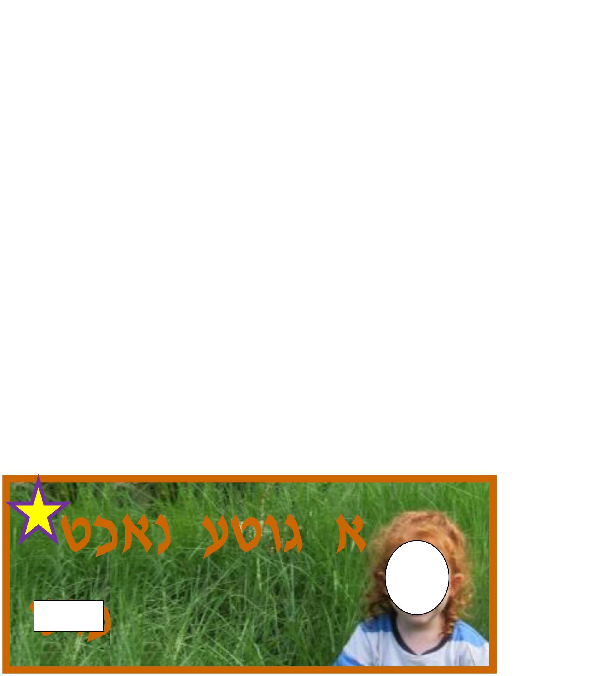 פיגמה לפרוג-2.jpg