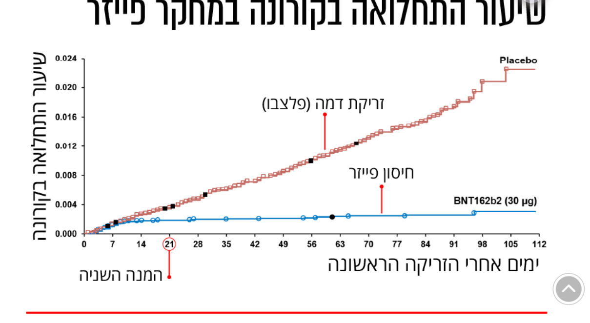 פייזר.PNG