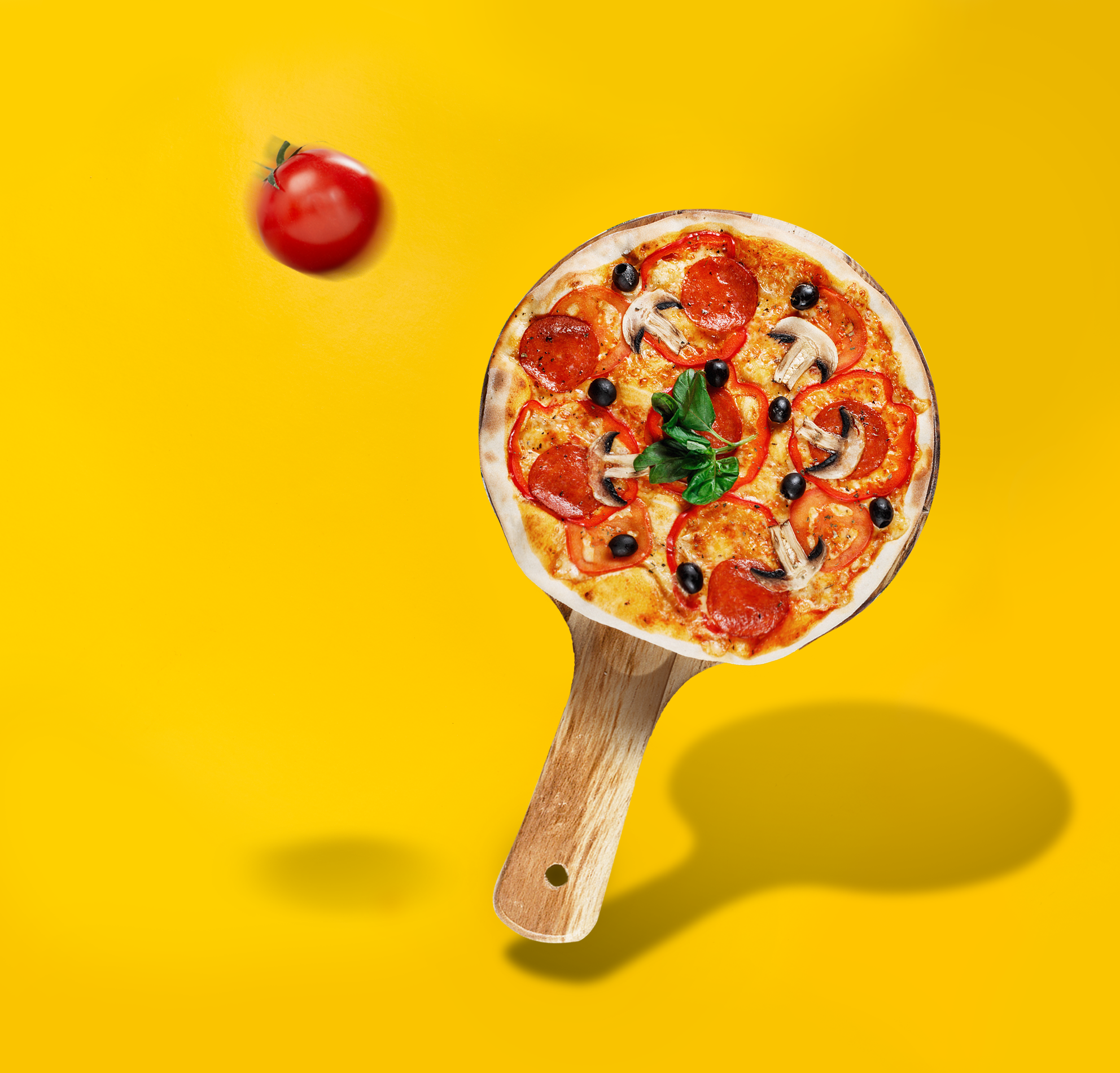 פינג פונג פיצה.png