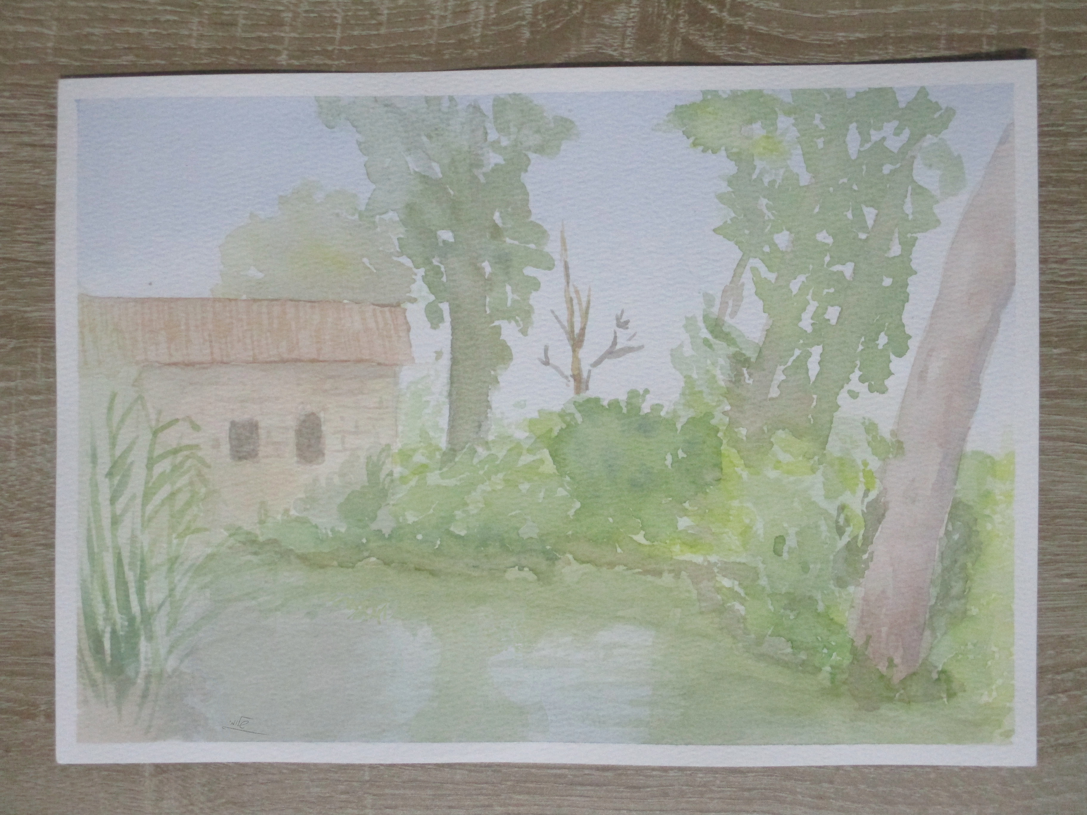 פינה בירקון.jpg