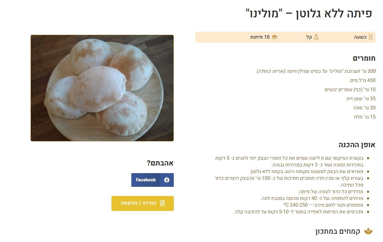 פיתה מתכון קמח הארץ.JPG