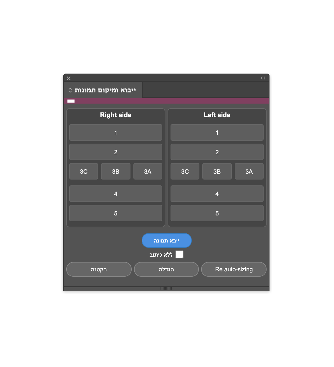 פלאגין ייבוא ומיקום תמונות.png