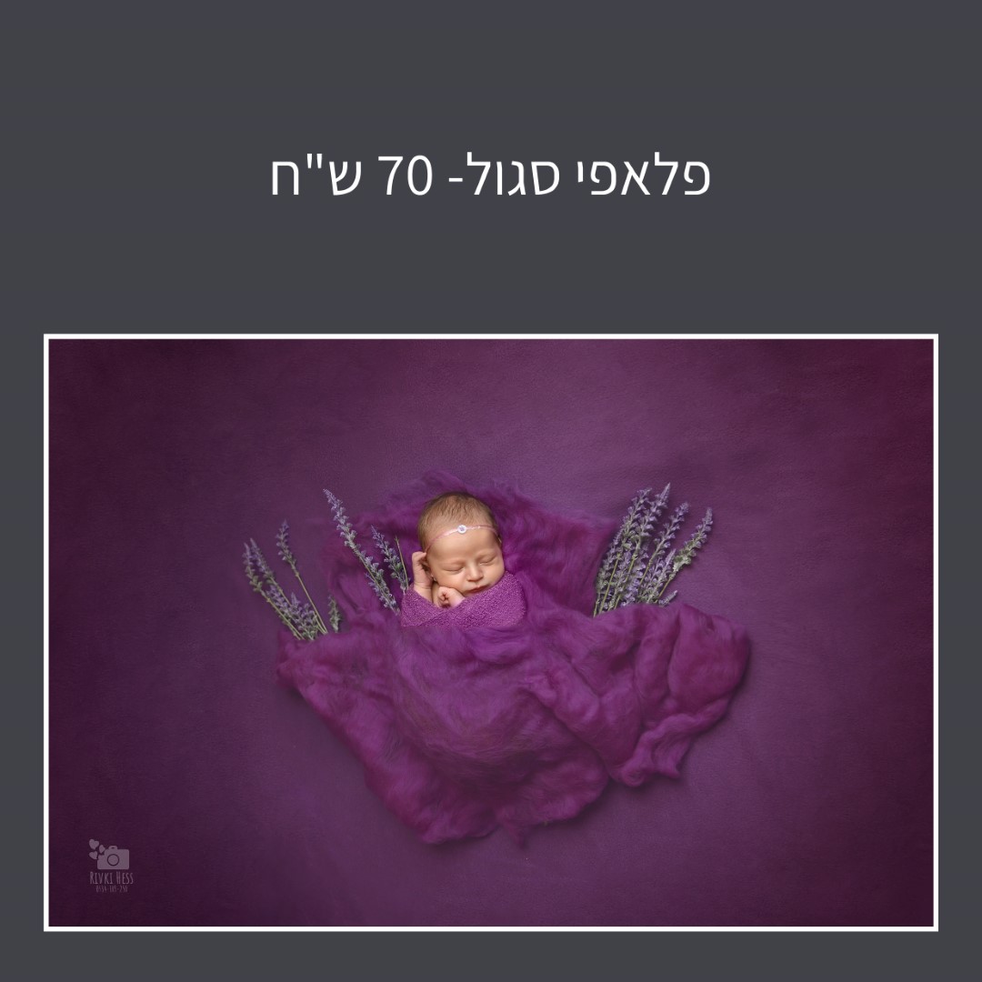 פלאפי-01 (Large).jpg